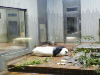 060912_1156~01.jpg