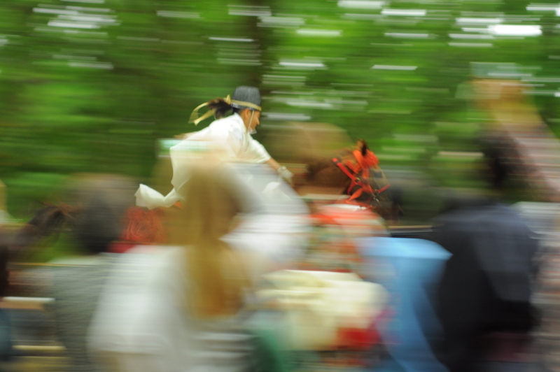 2014葵祭