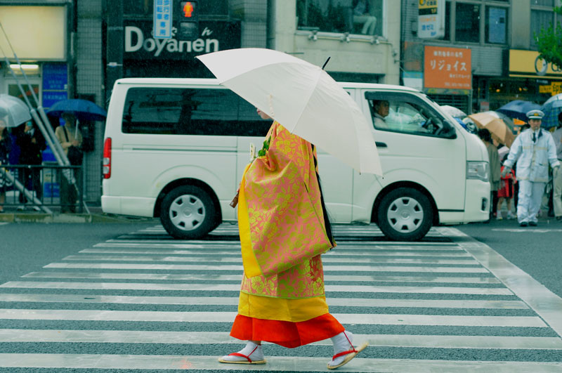 2014葵祭