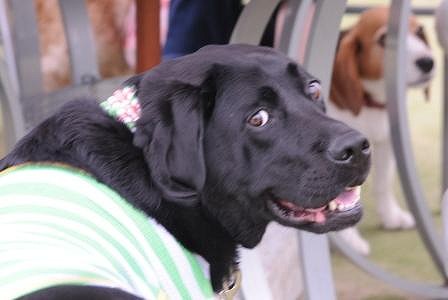 DSC_2155.jpg