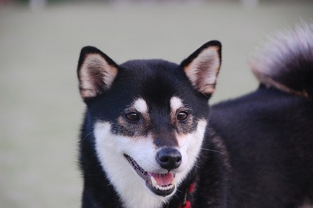 DSC_1180.jpg