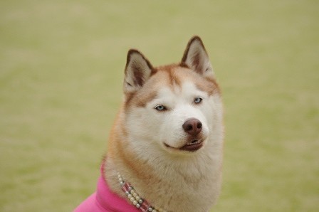 DSC_2311.jpg