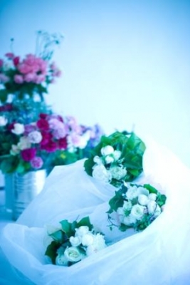 ¤¤¤Ä¤Ç¤â¤ª´ó¤ê²¼¤µ¤¤¡ª¡ª