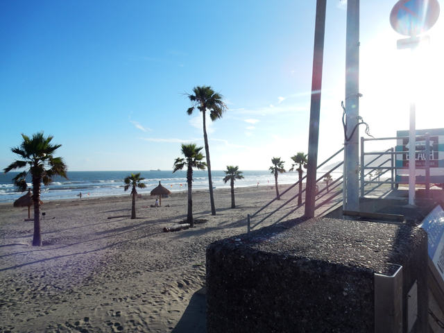 DSCN1009.jpg