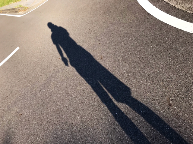 01.jpg