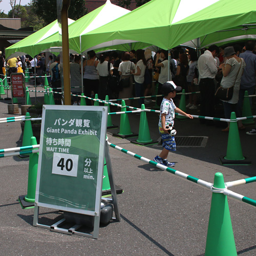 パンダ40分待ち