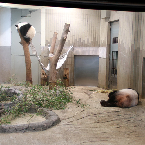 親子で寝てる