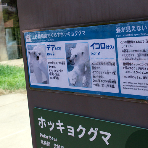 イコロとデア