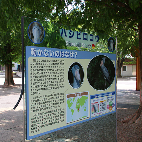 ハシビロコウ看板