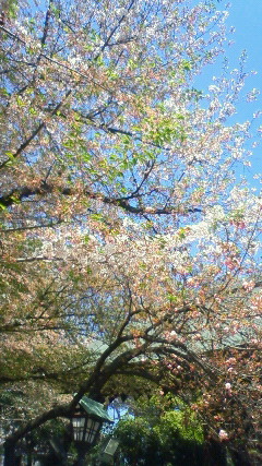 200904101317001.jpg