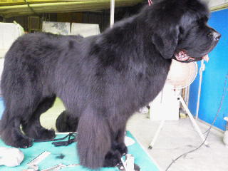 2011061418000000.jpg