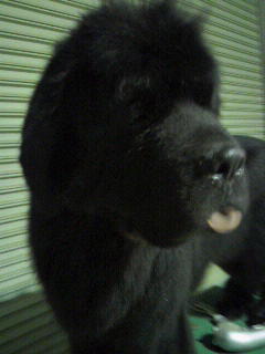 2011061417540000.jpg