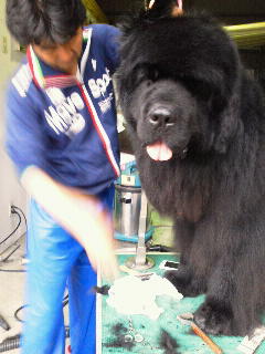 2011061517490000.jpg