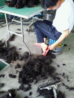 2011061715380000.jpg