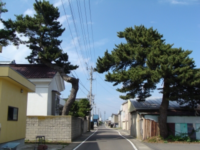才の神の松