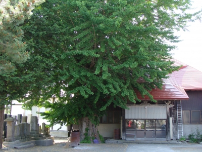 西光院本堂