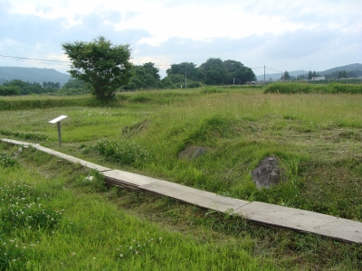 西建物