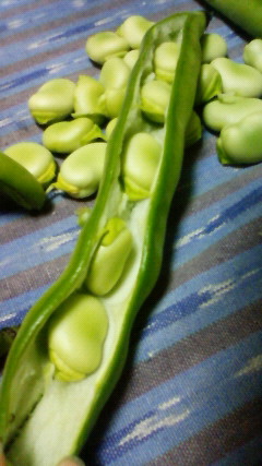 201205171951001.jpg