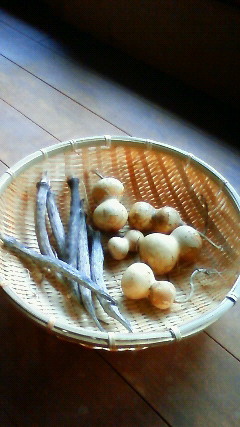 201211011345000.jpg