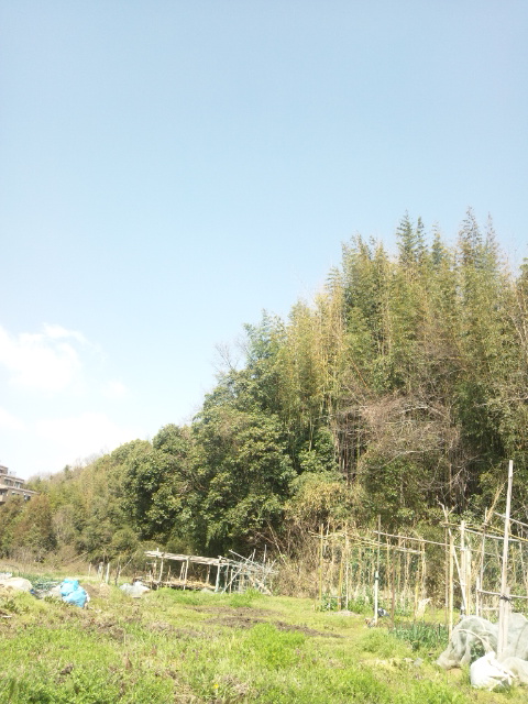 160320_115258.jpg