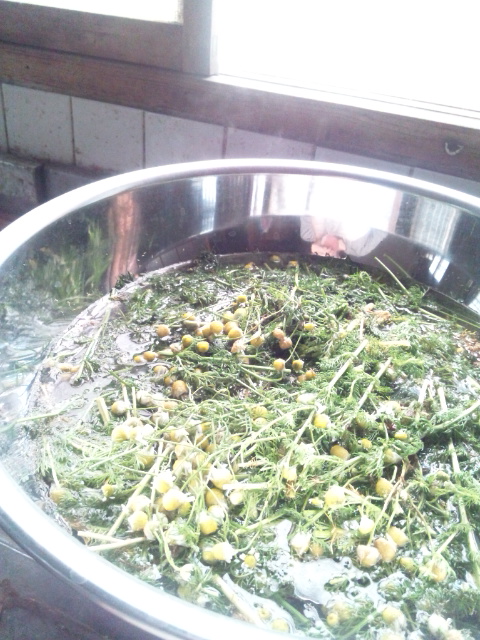 160518_104432.jpg