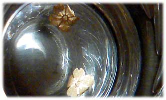 金箔入りお酒