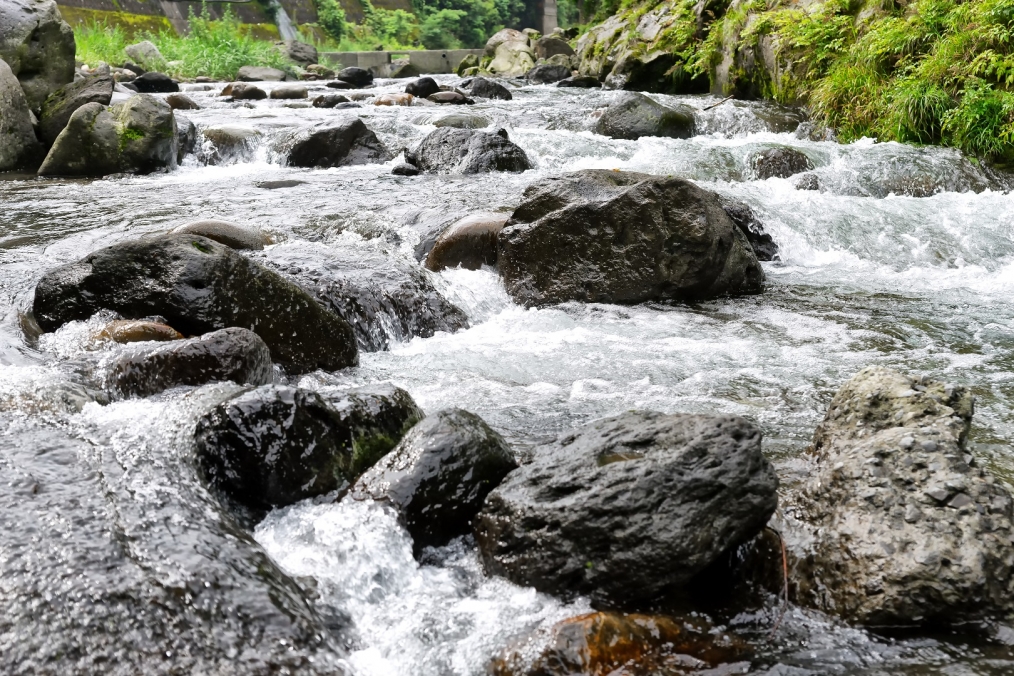 年をとると周りも・・・ 大分県豊後大野市から気ままなblog