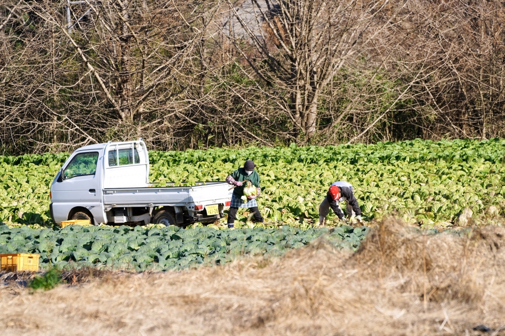 豊後大野市大野町郡山