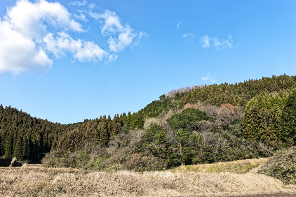 豊後大野市三重町井迫