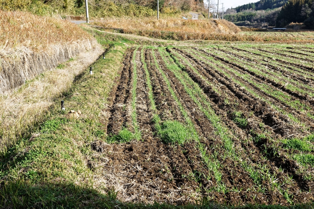 豊後大野市三重町井迫