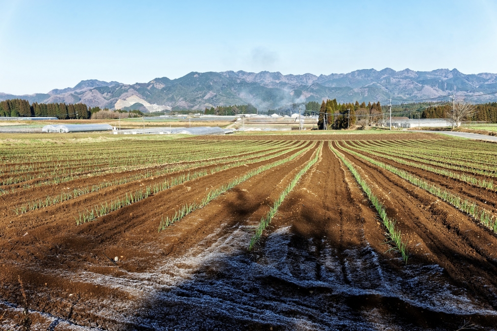 豊後大野市大野町郡山