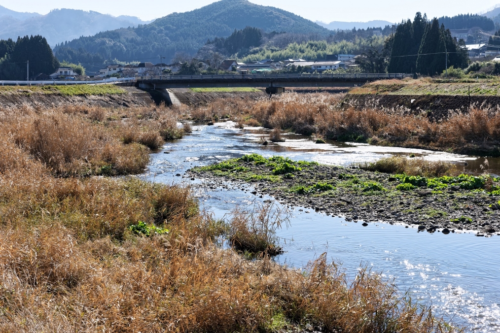 豊後大野市三重町三重川