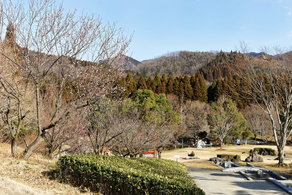 豊後大野市朝地町朝倉文夫記念館