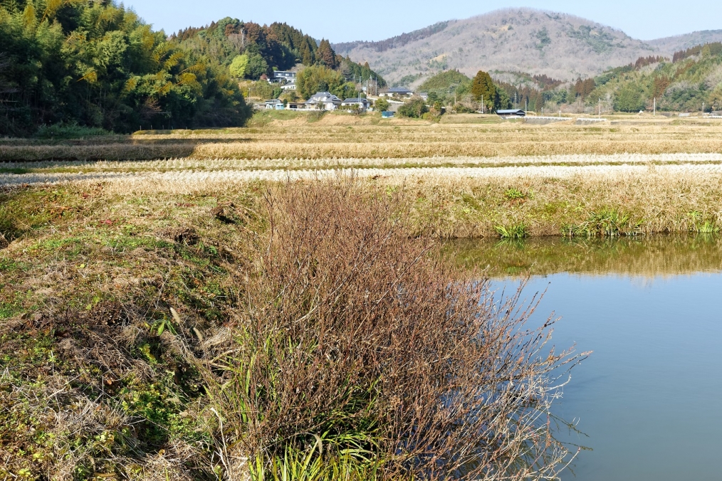 豊後大野市千歳町前田