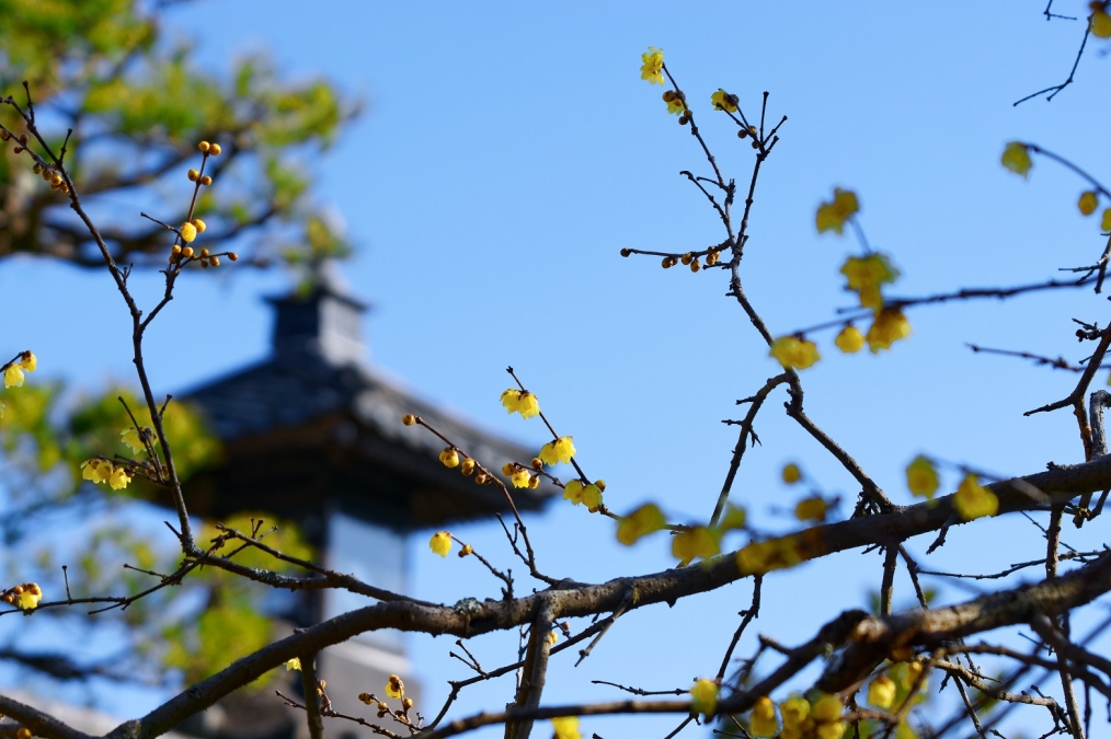 大分県竹田市