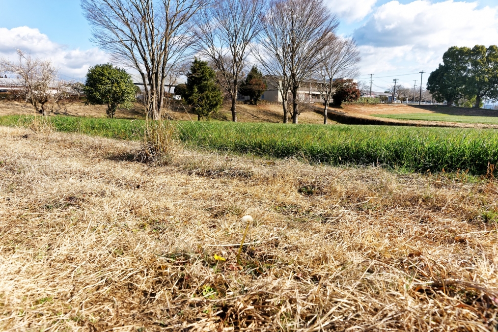 豊後大野市三重町赤嶺