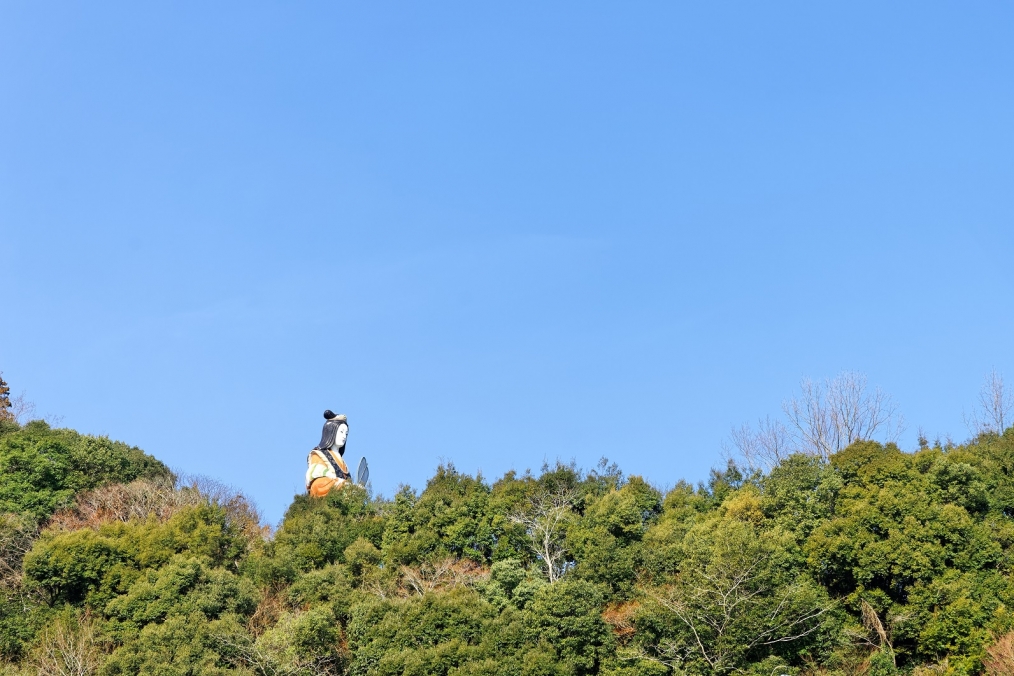 豊後大野市三重町内山