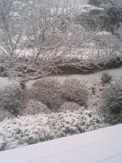 20070203_229789.JPG