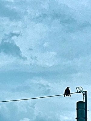きjh