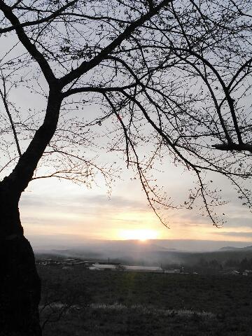 rps20130424_073734.jpg