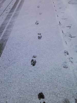 rps20140306_073336.jpg
