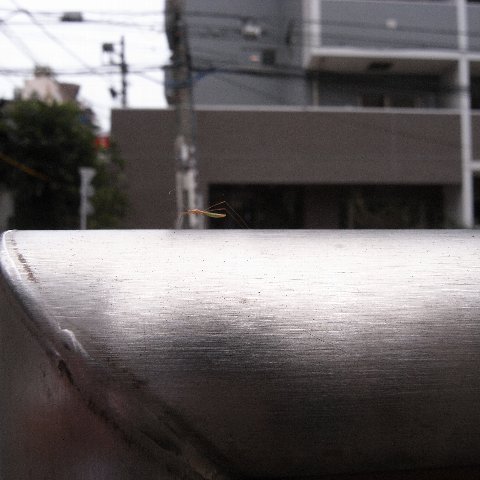 ²ã¡©