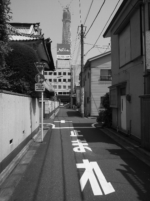 2010-05-05¥¹¥«¥¤¥Ä¥ê¡¼