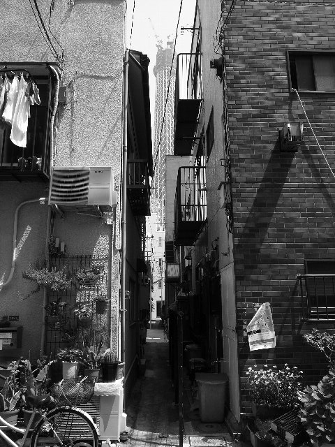 2010-05-05¥¹¥«¥¤¥Ä¥ê¡¼