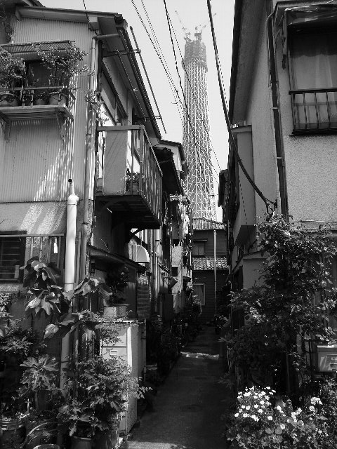 2010-05-05¥¹¥«¥¤¥Ä¥ê¡¼