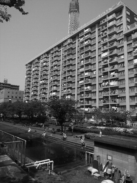 2010-05-05¥¹¥«¥¤¥Ä¥ê¡¼