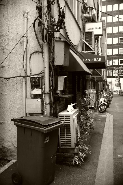 Leica¶äºÂ¤Î¿¿Î¢