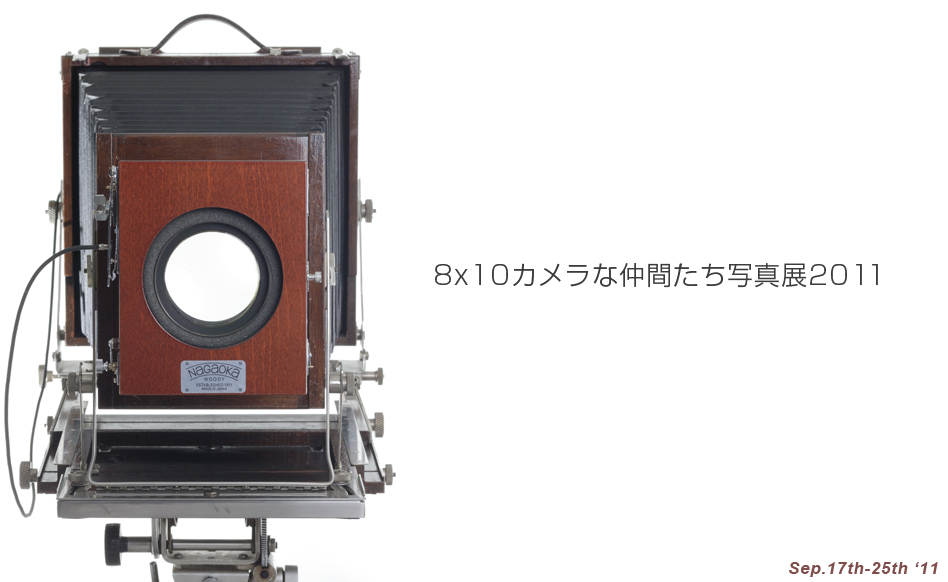 8¡ß10¥«¥á¥é¤ÊÃç´Ö¤¿¤Á¼Ì¿¿Å¸¡¡2011
