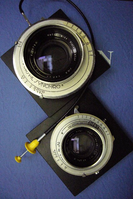 ACME SHUTTER ¤Ë¤Ï¥¹¥È¥í¡¼¥¯¤ÎŤ¤¥ì¥ê¡¼¥º¤¬É¬Í×