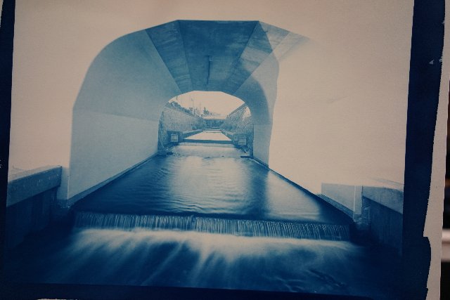 ¥µ¥¤¥¢¥Î cyanotype